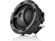 Load image into Gallery viewer, Morel IP-FORD82