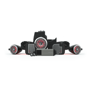 Rockford Fosgate RZR19RCPXP-STG5